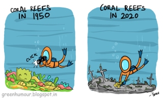 cartoon-corals